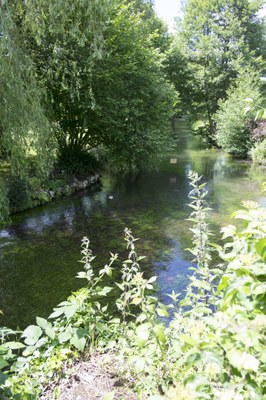 1806 Compostelle cheminsConches (24)