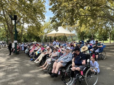 537948595 1193960812765867 1782476642670528940 n