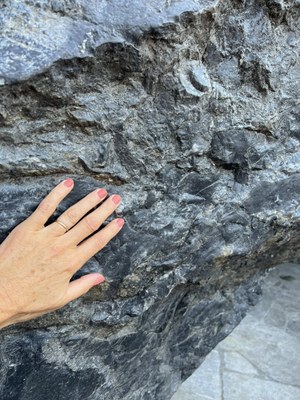 537988295 1192184159610199 2822190465066061430 n